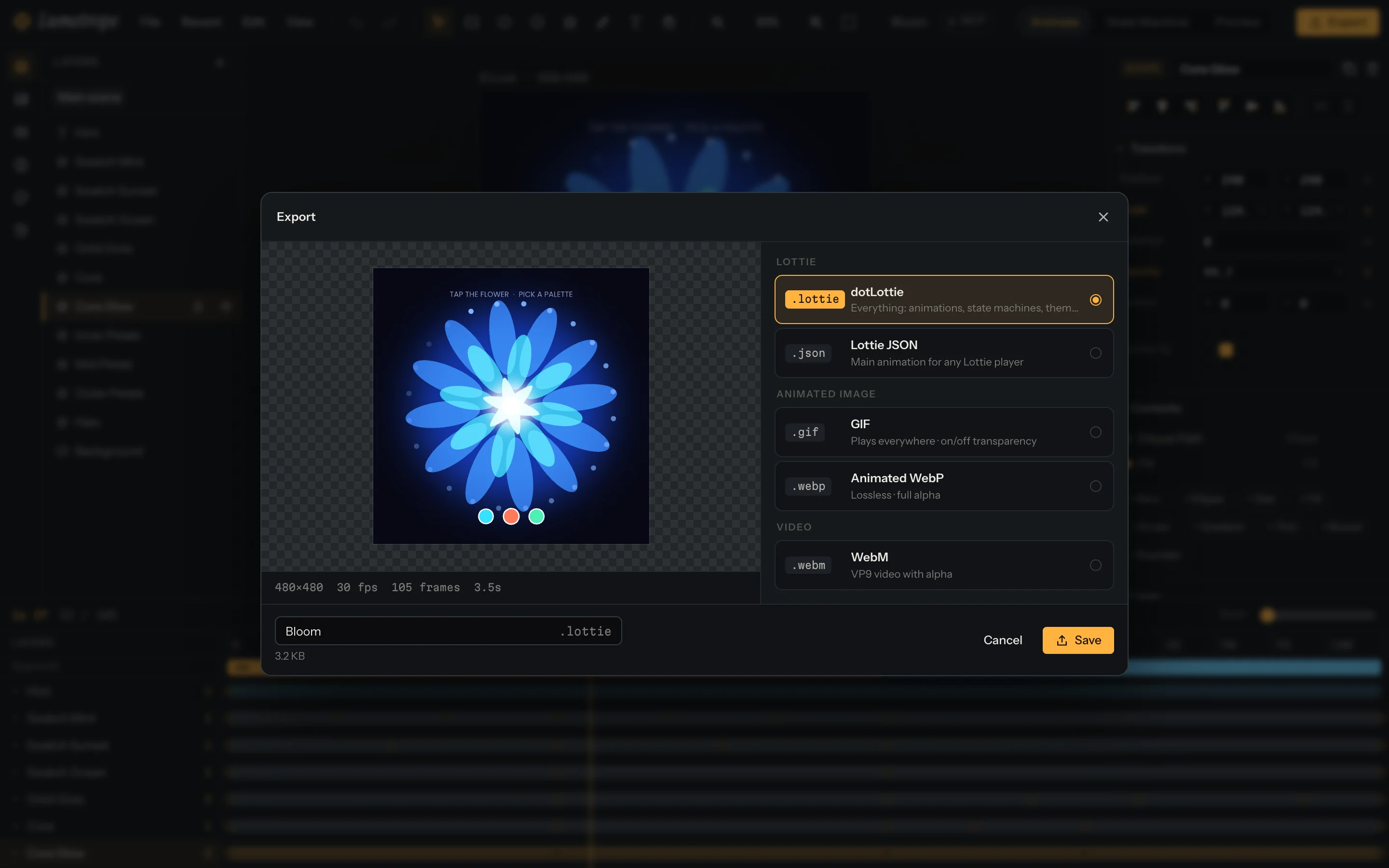 The export dialog offering GIF, WebP and WebM output.